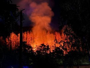 Пожар вилня между “Бузлуджа” и “Чолаковци”, вече е локализиран
