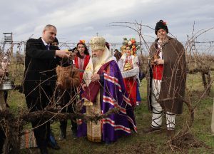Зарезан посрещнаха в Лясковско с ритуална резитба, конкурси за вино и много веселие