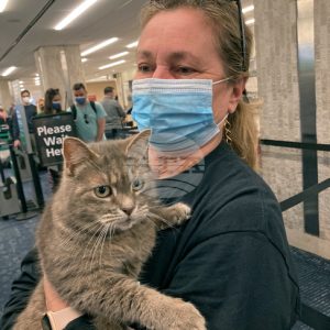 Ключът към лечението на рака може да се крие в котките