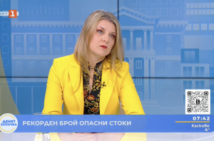 Рекорден брой заловени опасни стоки в ЕС през последната година